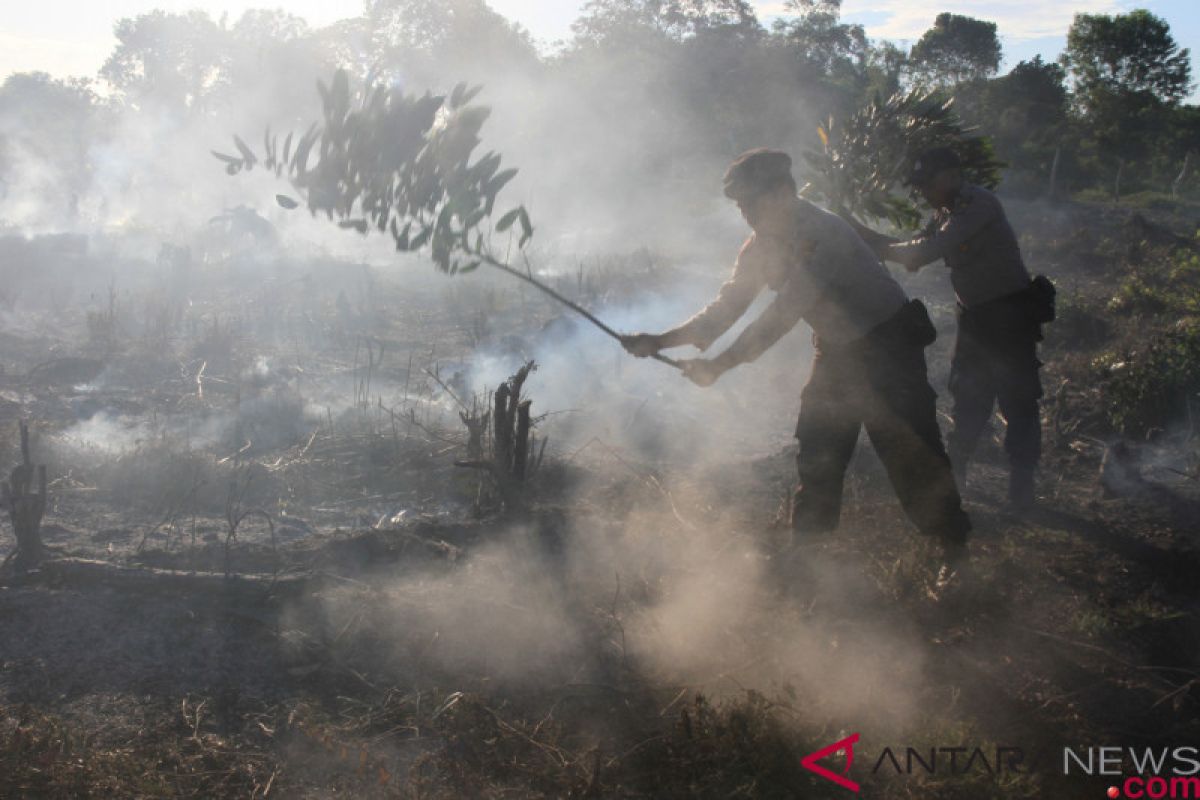 Karena ulah manusia, Belitung Timur sembilan kali kebakaran hutan di 2018