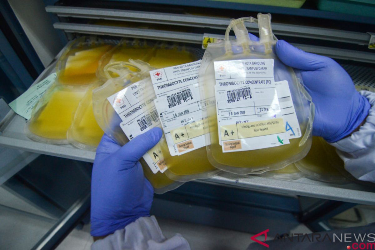 Stok darah aman untuk pasien DBD