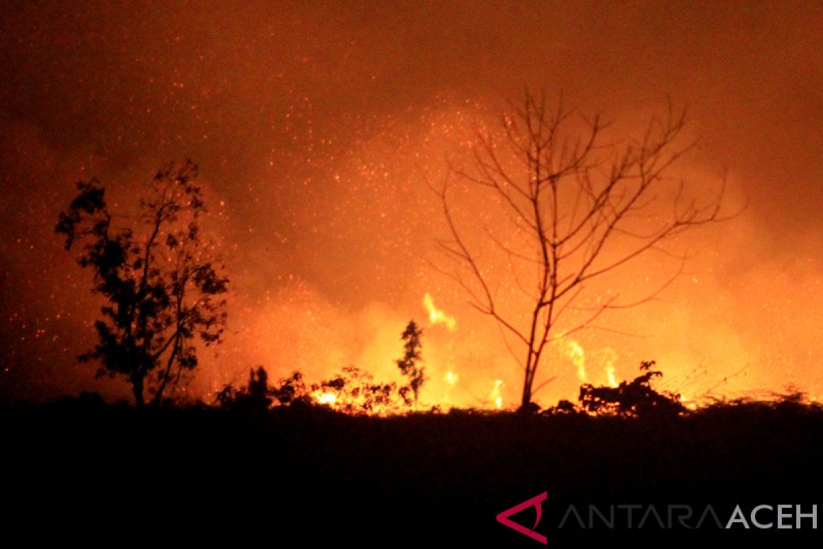 Dua hektare lebih lahan gambut terbakar di Aceh Barat