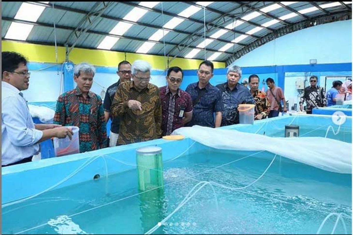 Pulau Maspari dijadikan pusat pembenihan ikan Sumsel