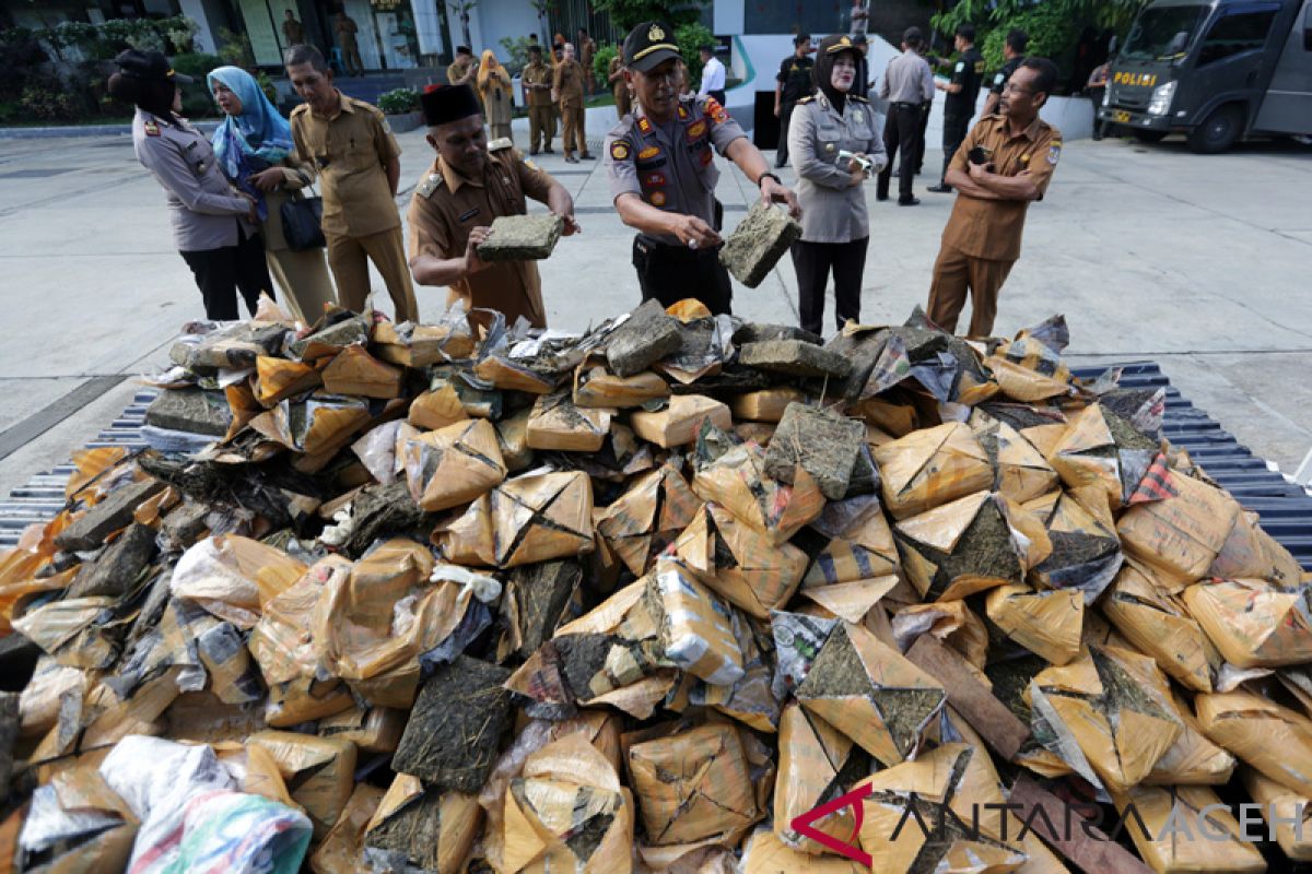 Polresta Banda Aceh musnahkan ratusan kilogram ganja