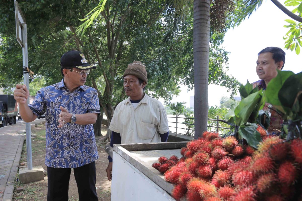 Pemkot Tangerang Buatkan Zona Khusus PKL Setiap Kecamatan