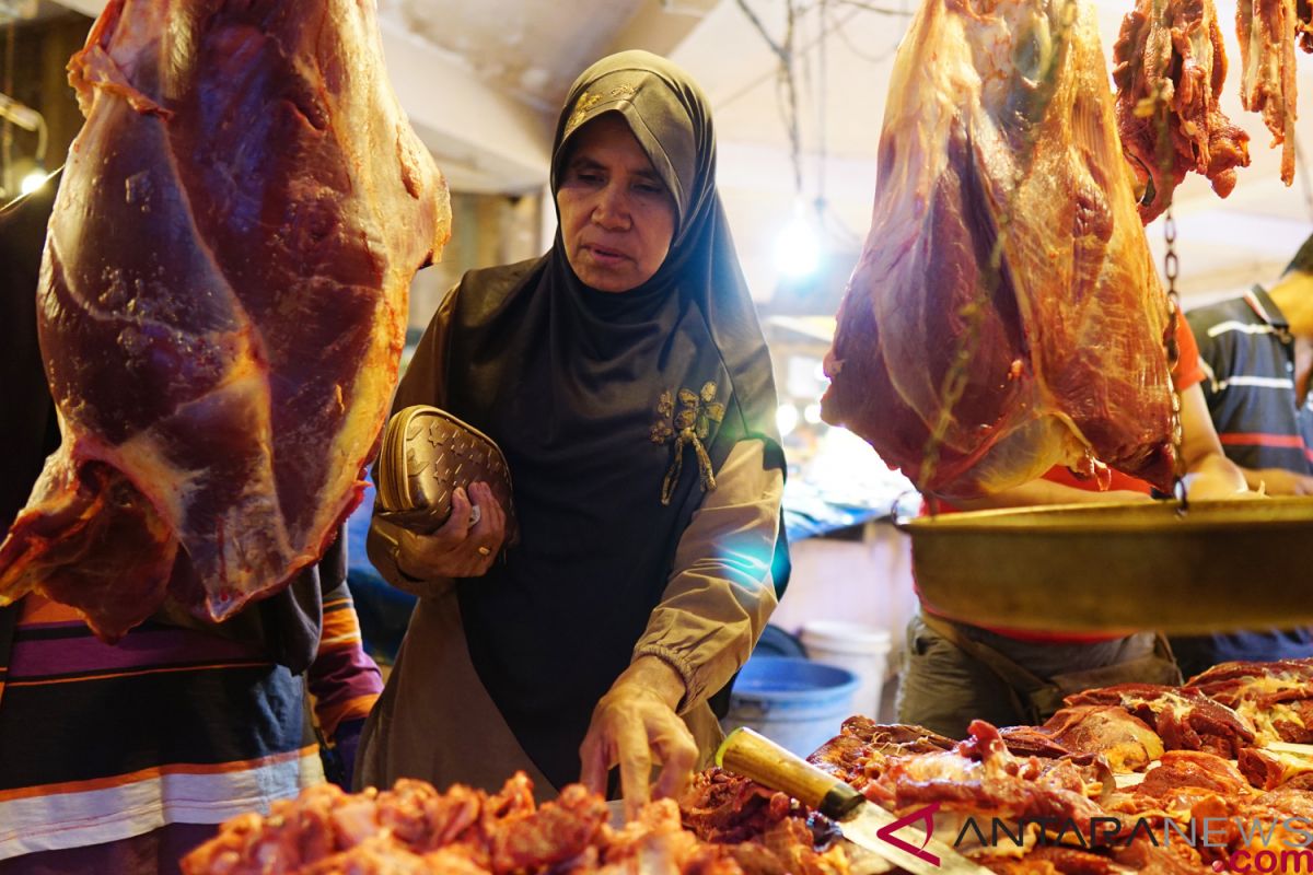 Uji sampel sapi di Yogyakarta negatif antraks