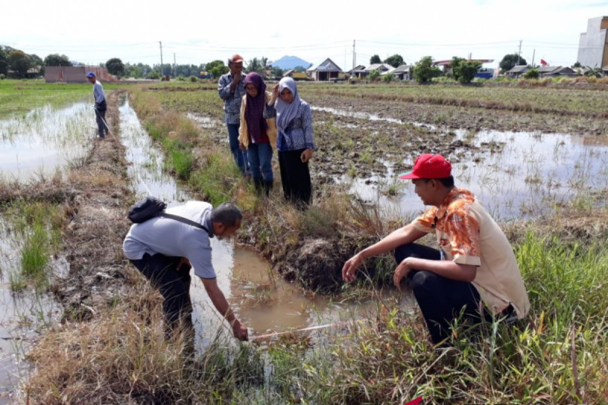 Tanah Bumbu to builds irrigation to increase agricultural yield