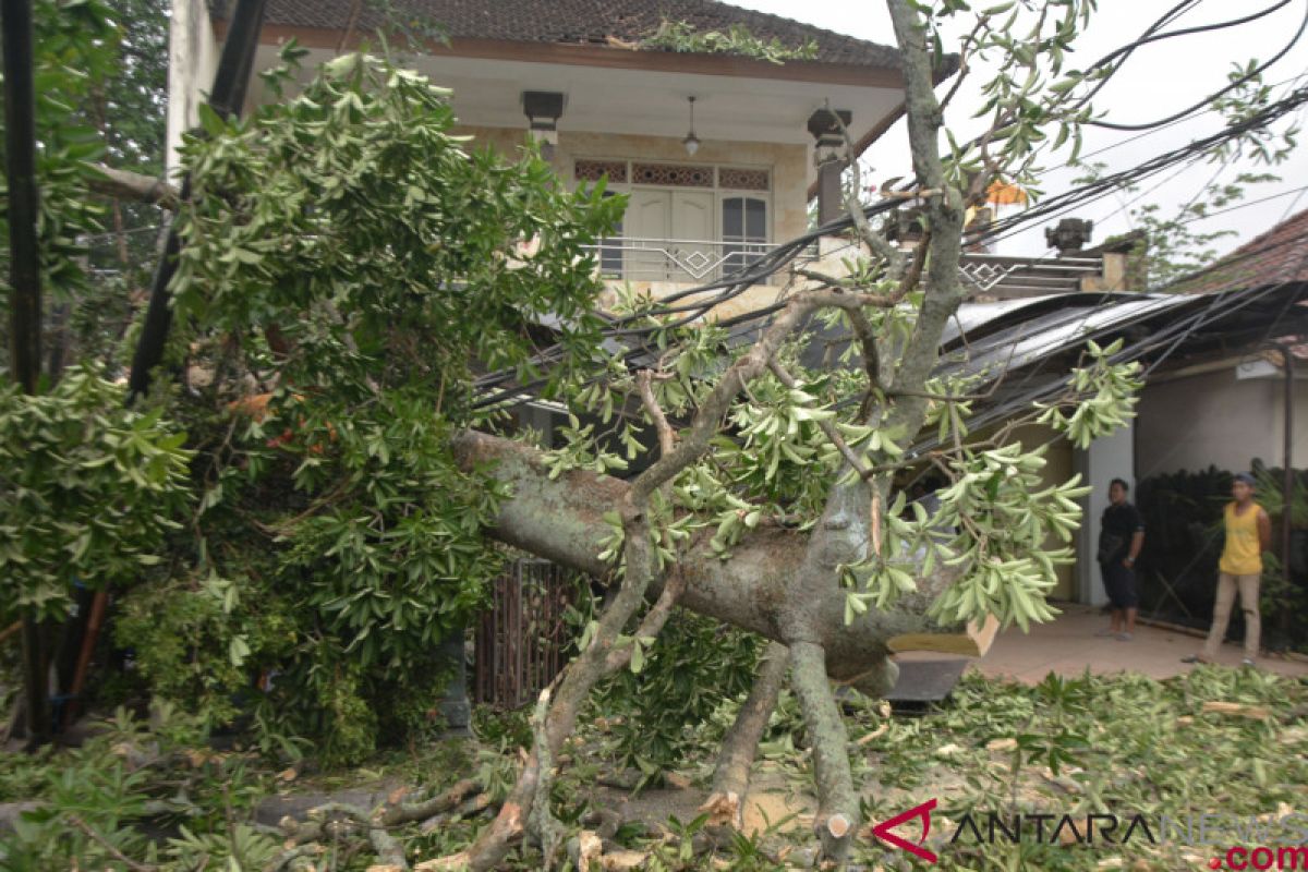 Puluhan rumah rusak diterjang angin kencang