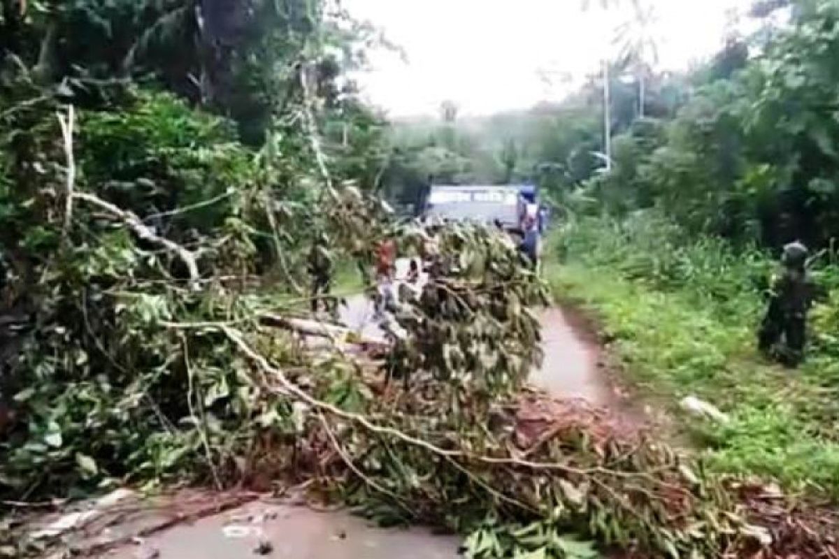 Yonif 126/KC bersihkan pohon tumbang di ruas jalan Sawitami Keerom