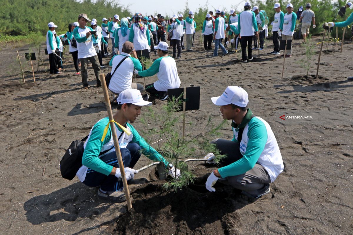 Tree of Heart tanam pohon cegah kekeringan di Sumberoto