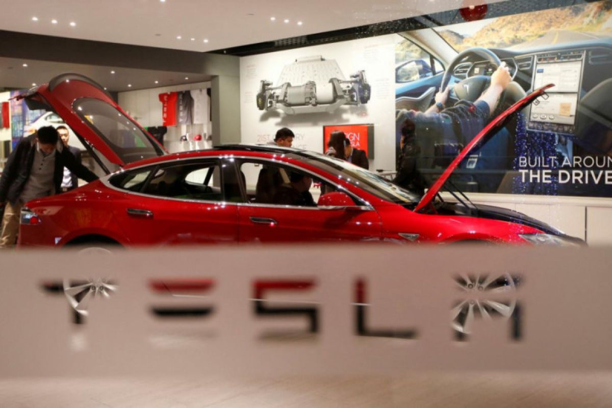 Tesla  ingin kembangkan sistem penyimpanan energi dengan Indonesia