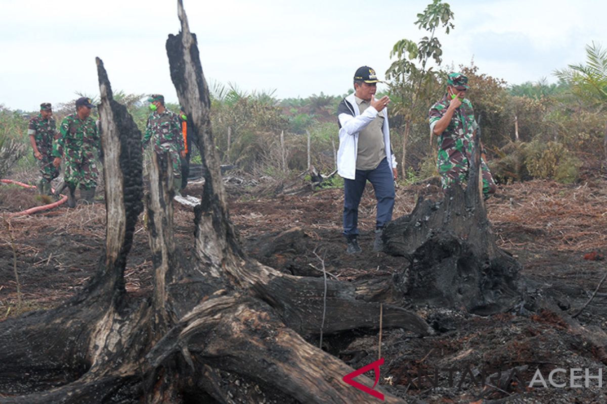 Tinjau kebakaran lahan gambut