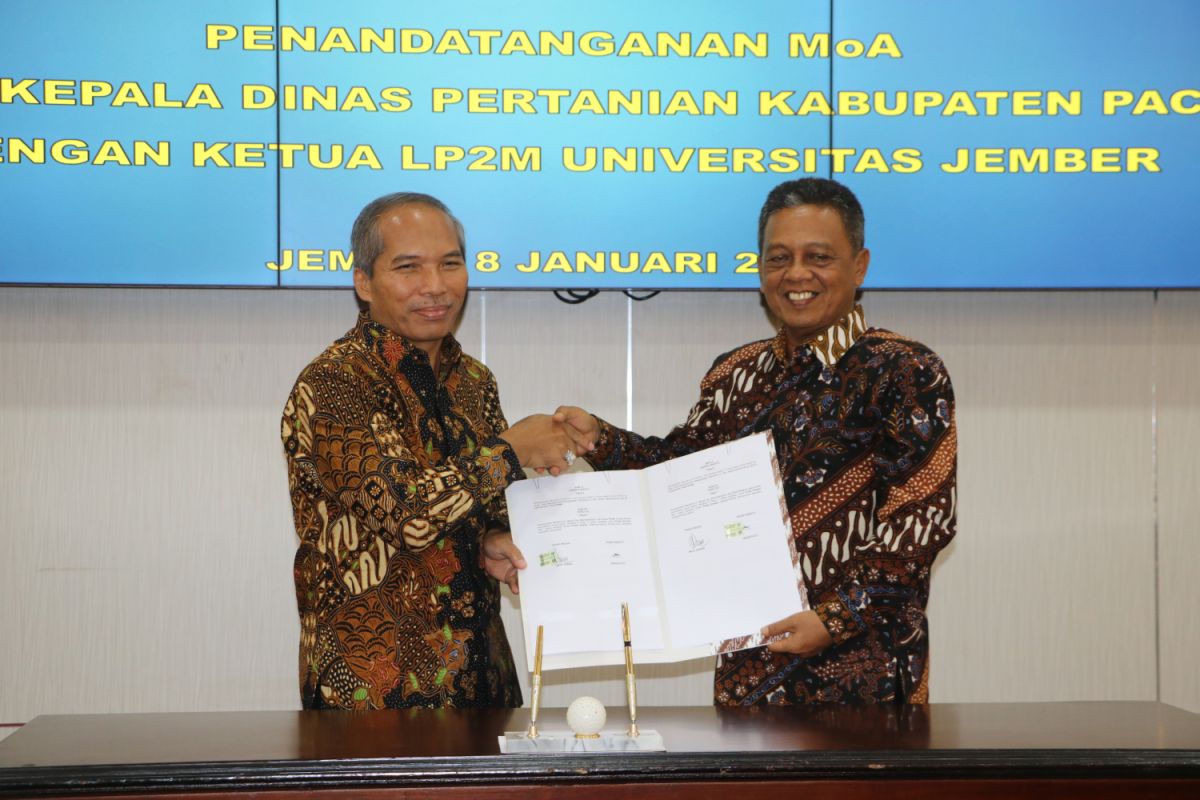 Pemkab Pacitan Gandeng Unej Kembangkan Pertanian