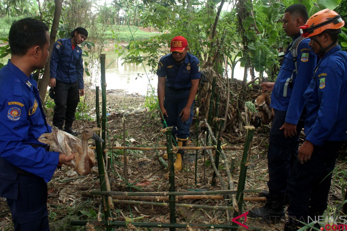 Pemkot Singkawang siapkan jerat untuk tangkap buaya resahkan warga