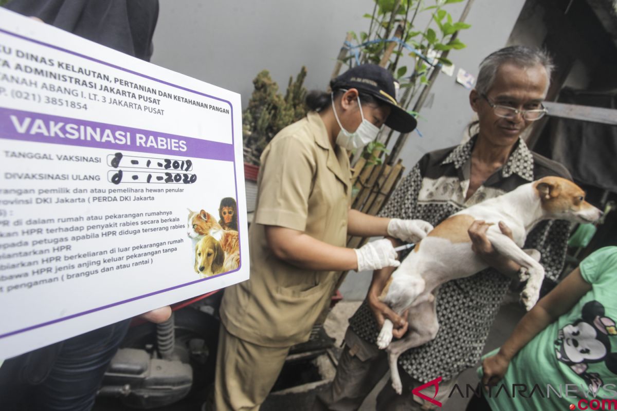 Pemkot Jakpus optimistis pertahankan DKI bebas rabies