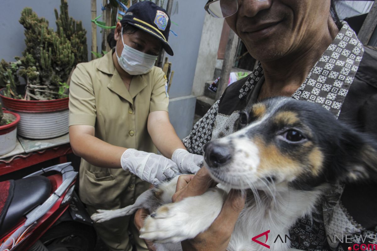 Vaksinasi rabies HPR Jakbar naik dua kali lipat