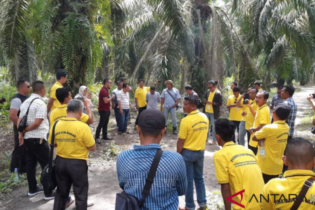 Masyarakat Lingga minta kebun sawit segera dibuka