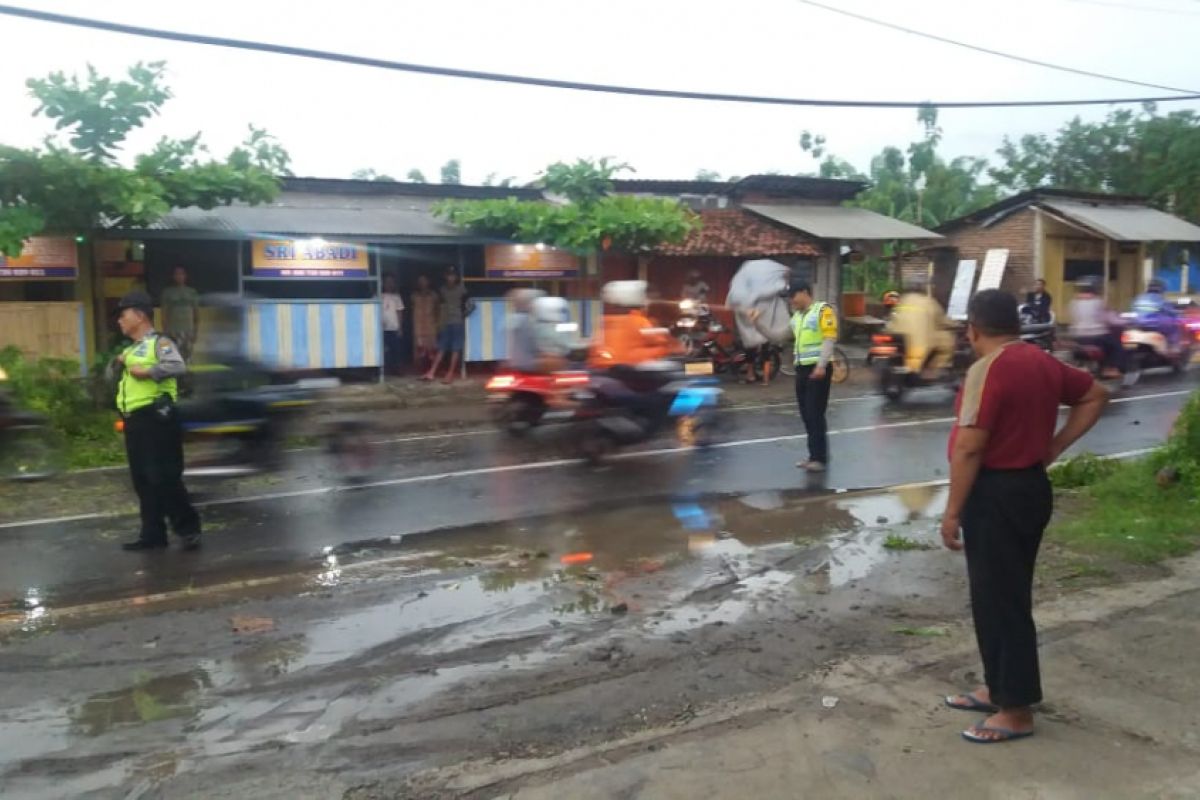 Pohon Tumbang di Ponorogo Timpa Pengendara Motor