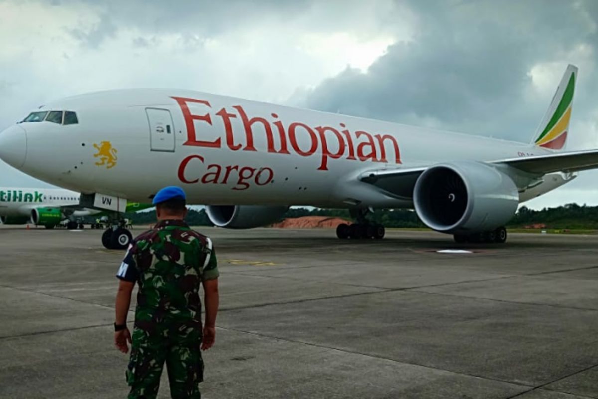 TNI AU Jelaskan Alasan Pemaksaan Mendarat Pesawat Ethiopian Air