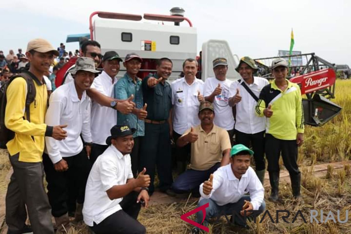 Harga sawah di Siak beranjak naik