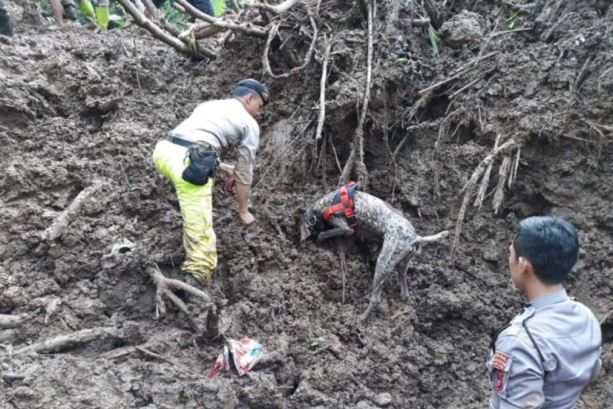 K9 Polda Sulsel temukan bau korban longsor