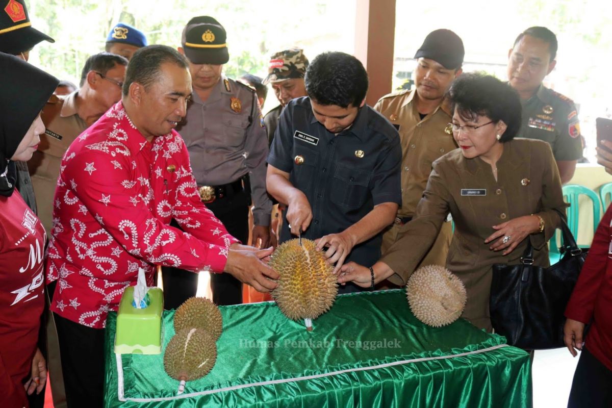 Trenggalek Kini Miliki Rumah Wisata Durian