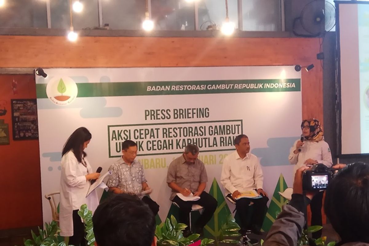 BRG Restorasi 143.000 hektare gambut konsesi perusahaan Riau