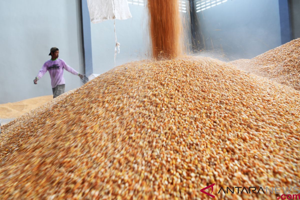 Additional corn imports needed owing to high demand: minister