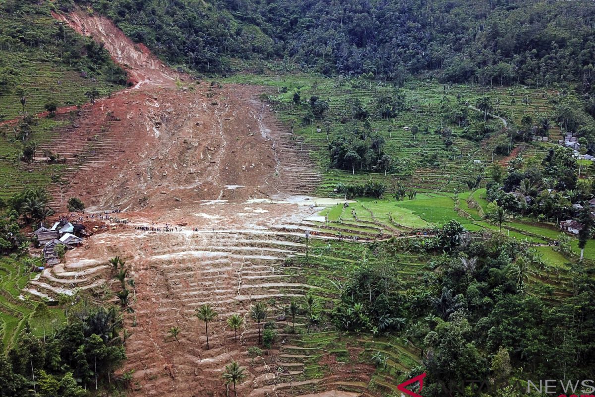 BNPB: daerah longsor Sukabumi seharusnya untuk konservasi