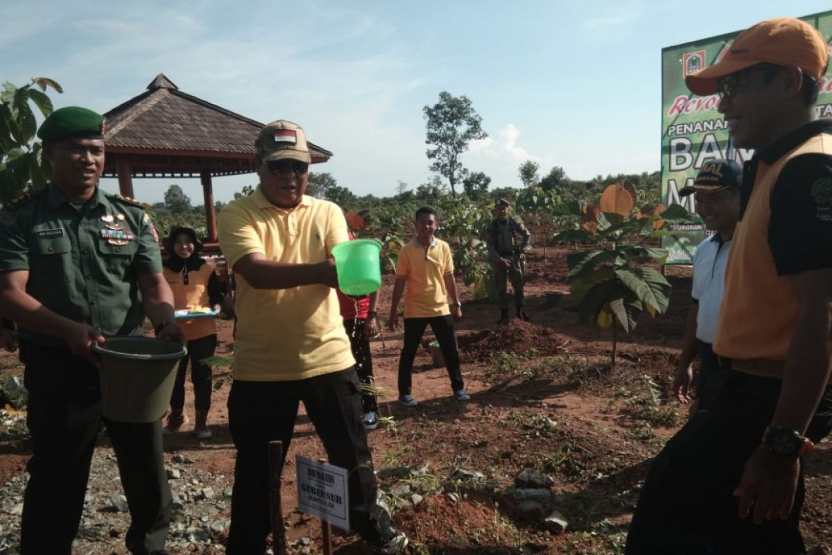 South Kalimantan develops local bamboo for industry
