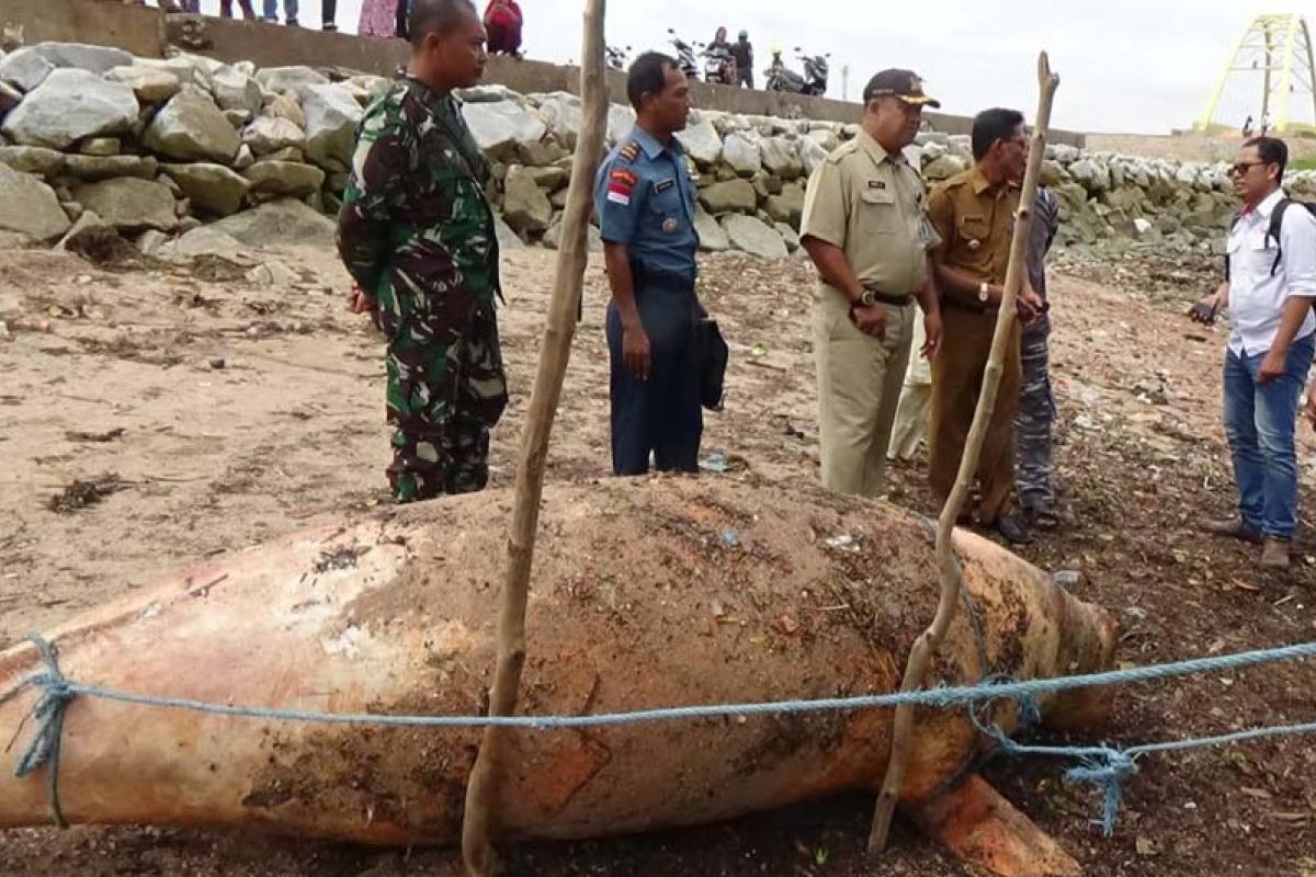 Bangkai dugong ditemukan terdampar di pesisir Teluk Uma Karimun