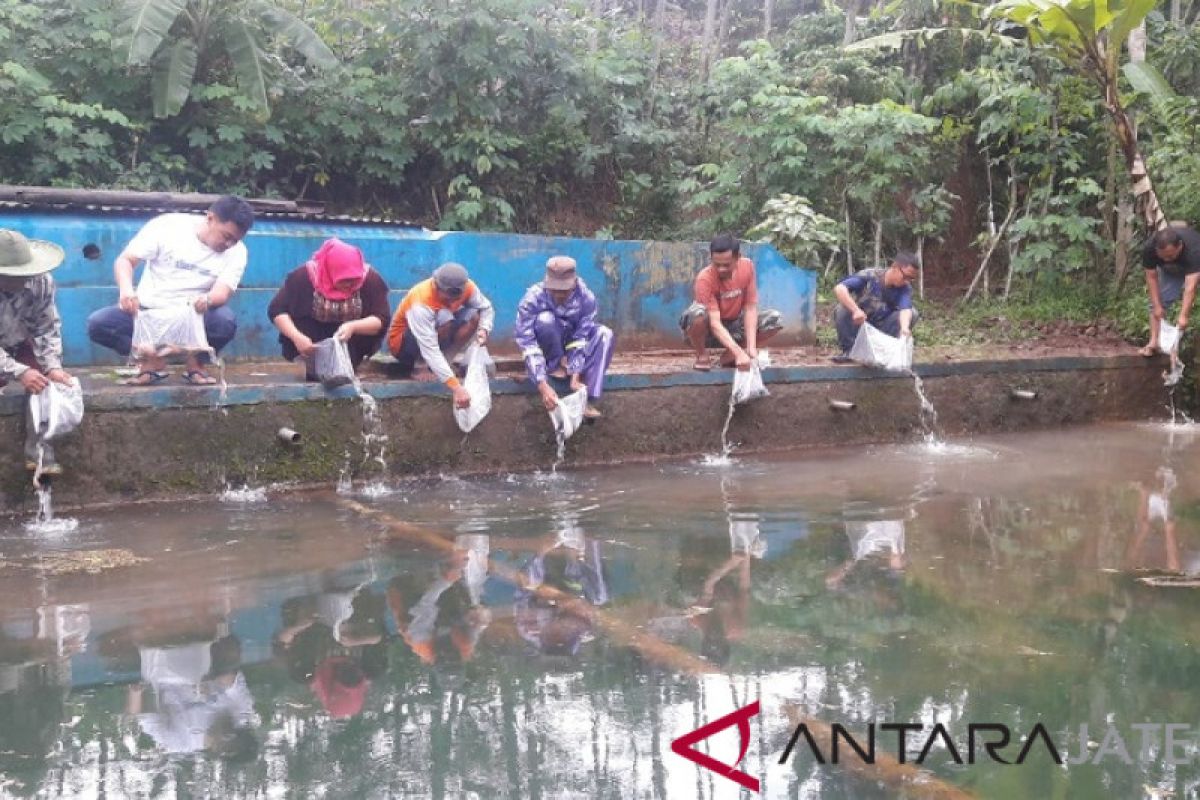 Relawan caleg Gerindra tebar benih ikan di Temanggung