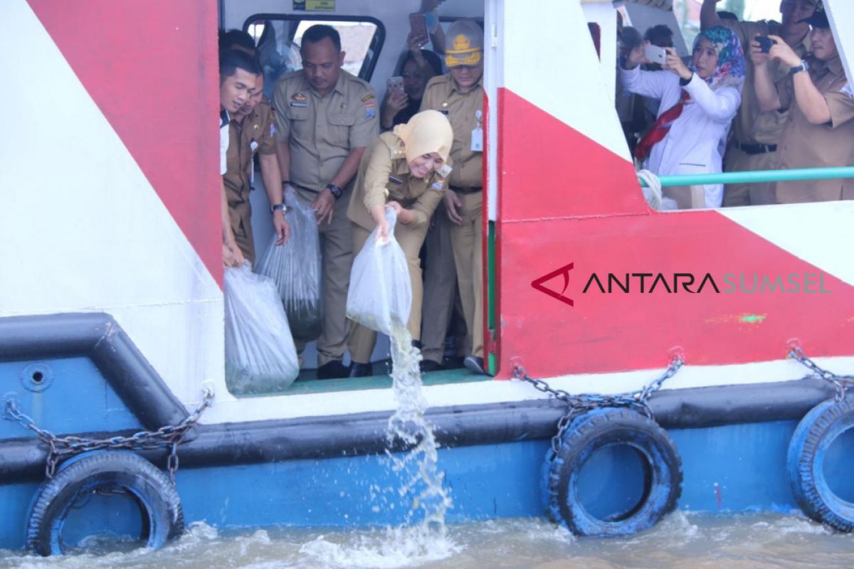 Pemkot Palembang tingkatkan pelestarian Sungai Musi