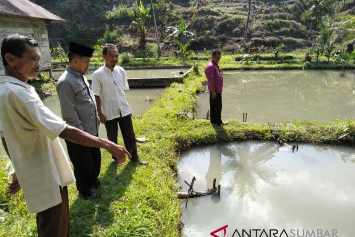 2019, Agam targetkan tebar dua juta bibit ikan