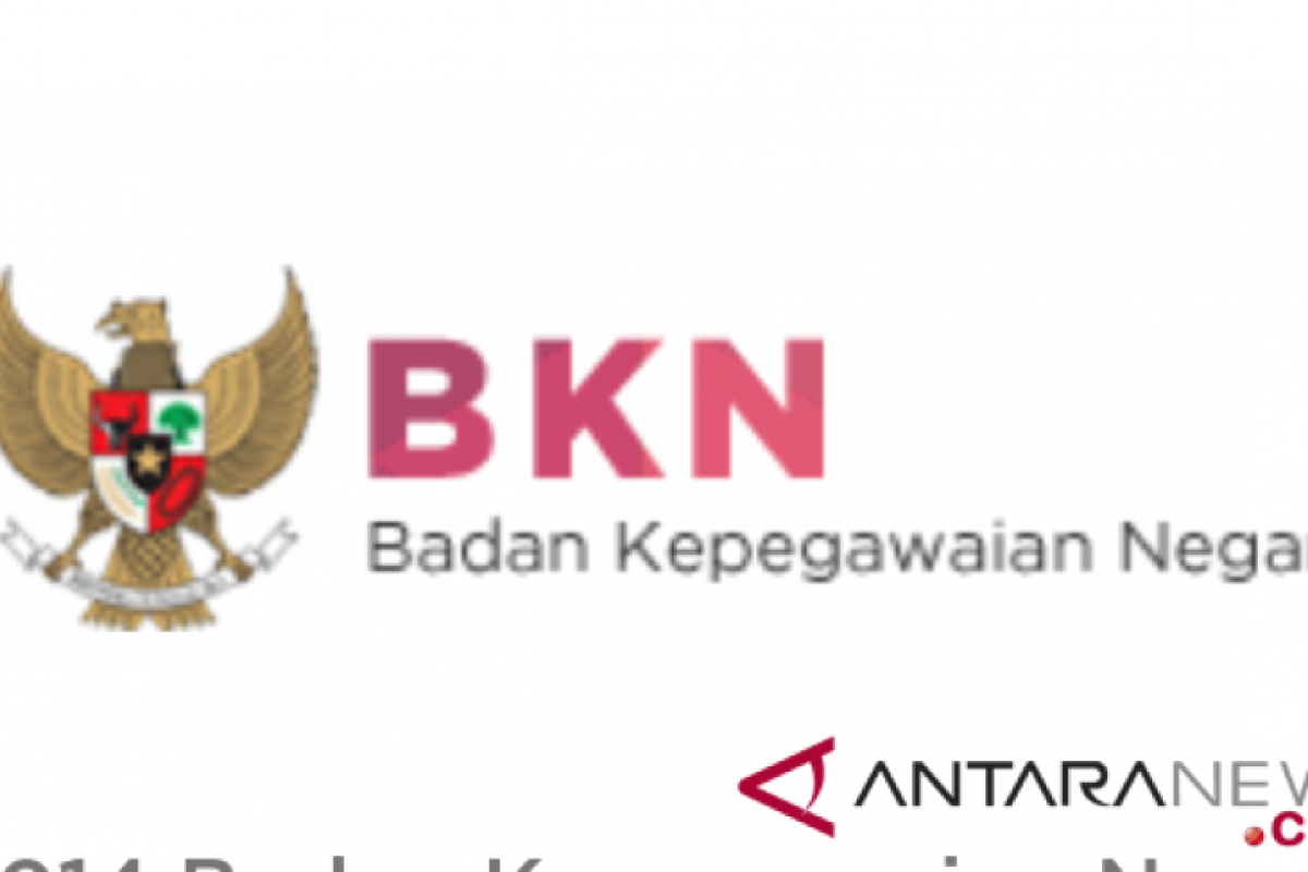 BKN: antusiasme pendaftar calon ASN 2019 sangat tinggi