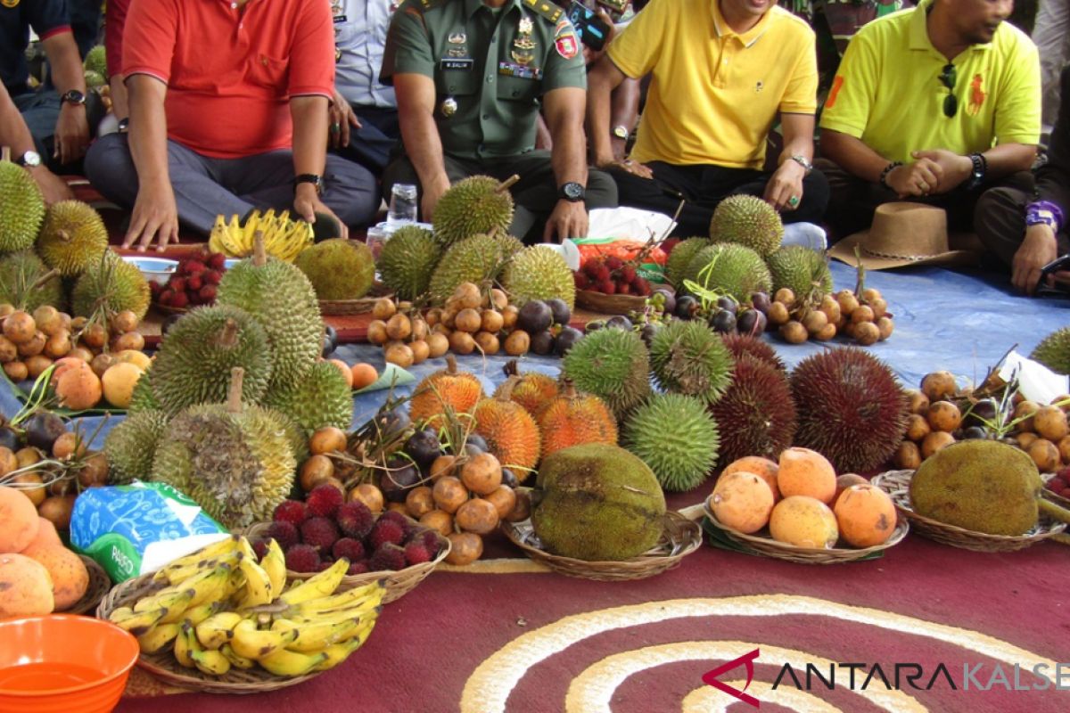 Festival buah lokal kuak kekayaan alam Kalsel