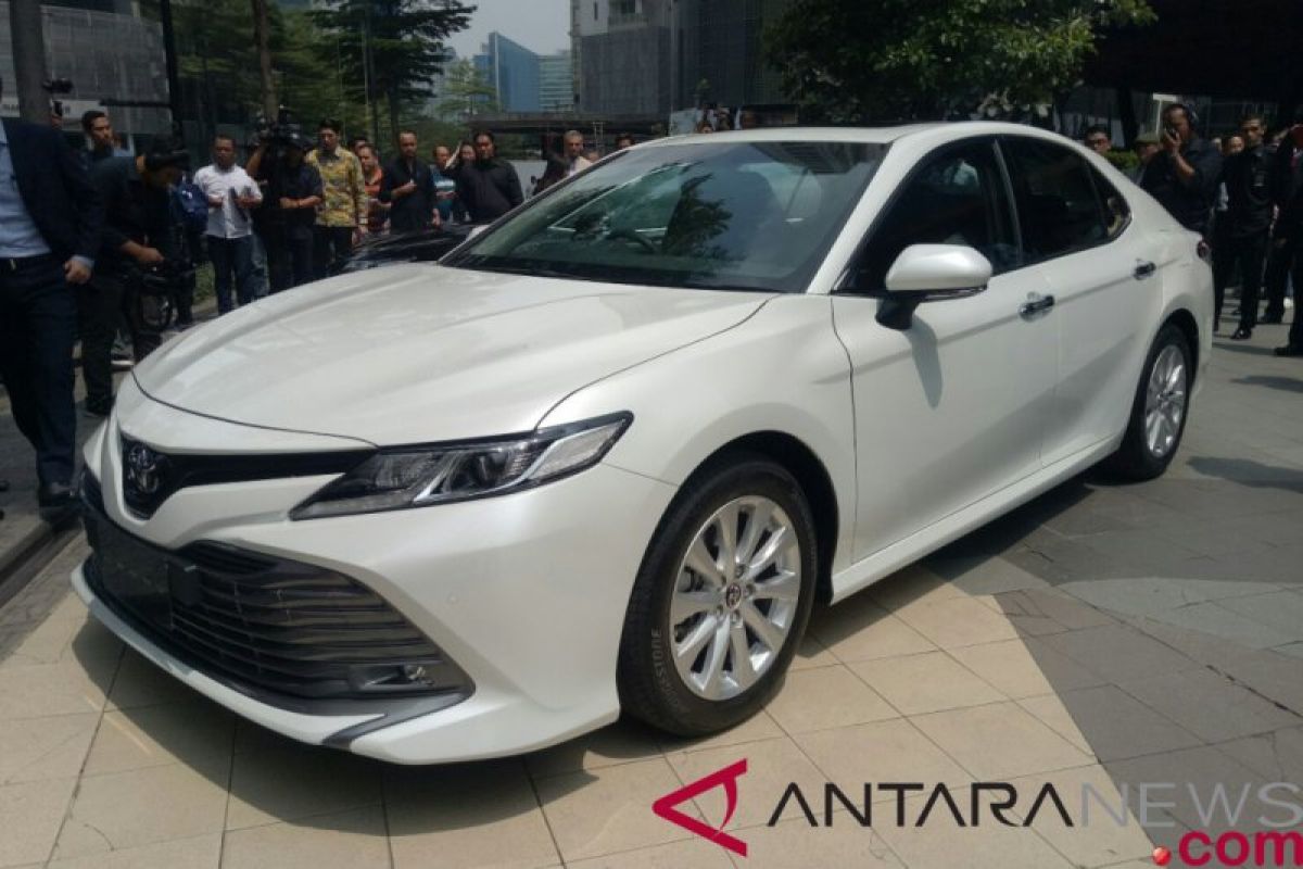 Sedan dan city car baru 2019: Camry, Accord sampai Baleno