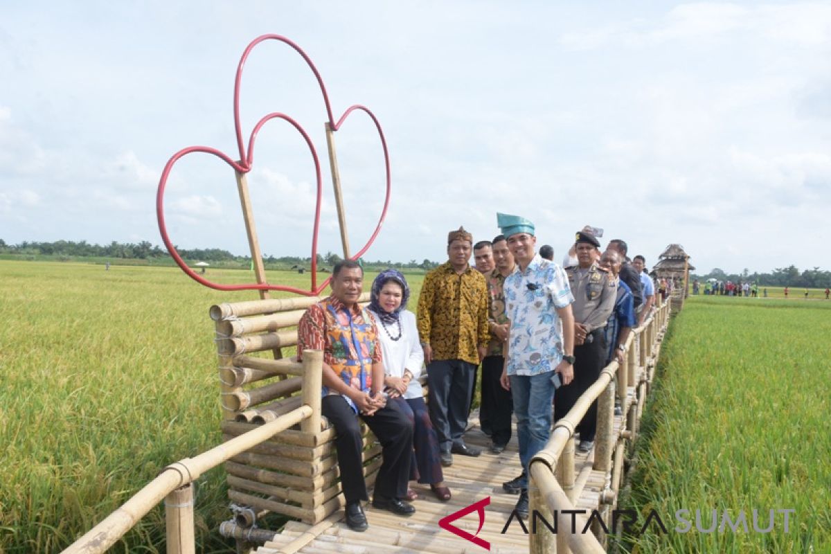 Deliserdang resmikan Desa Wisata Kampoeng Lama