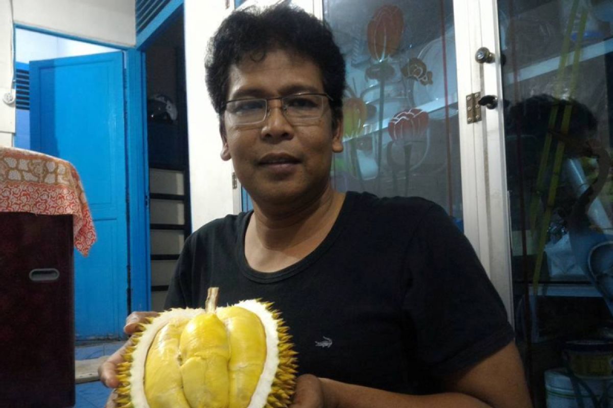 Durian Bentara jadi komoditas andalan Bengkulu