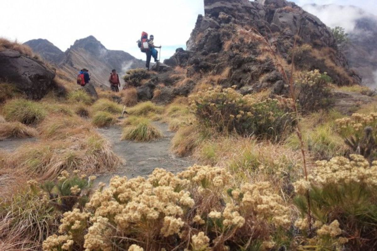 BTGR petakan kondisi jalur pendakian Rinjani pascagempa