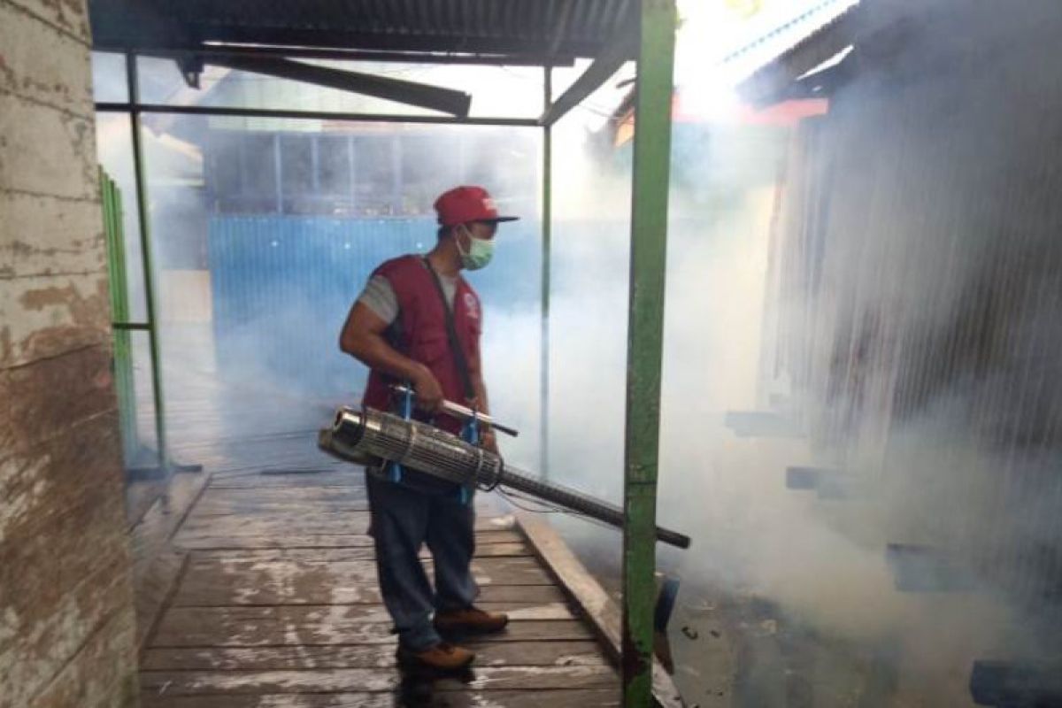 Dinkes Asmat lakukan "fogging" cegah DBD di Agats