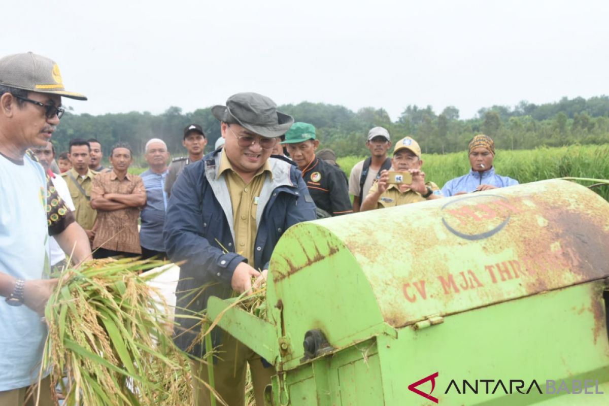 Gubernur Babel panen padi ladang 15 hektare