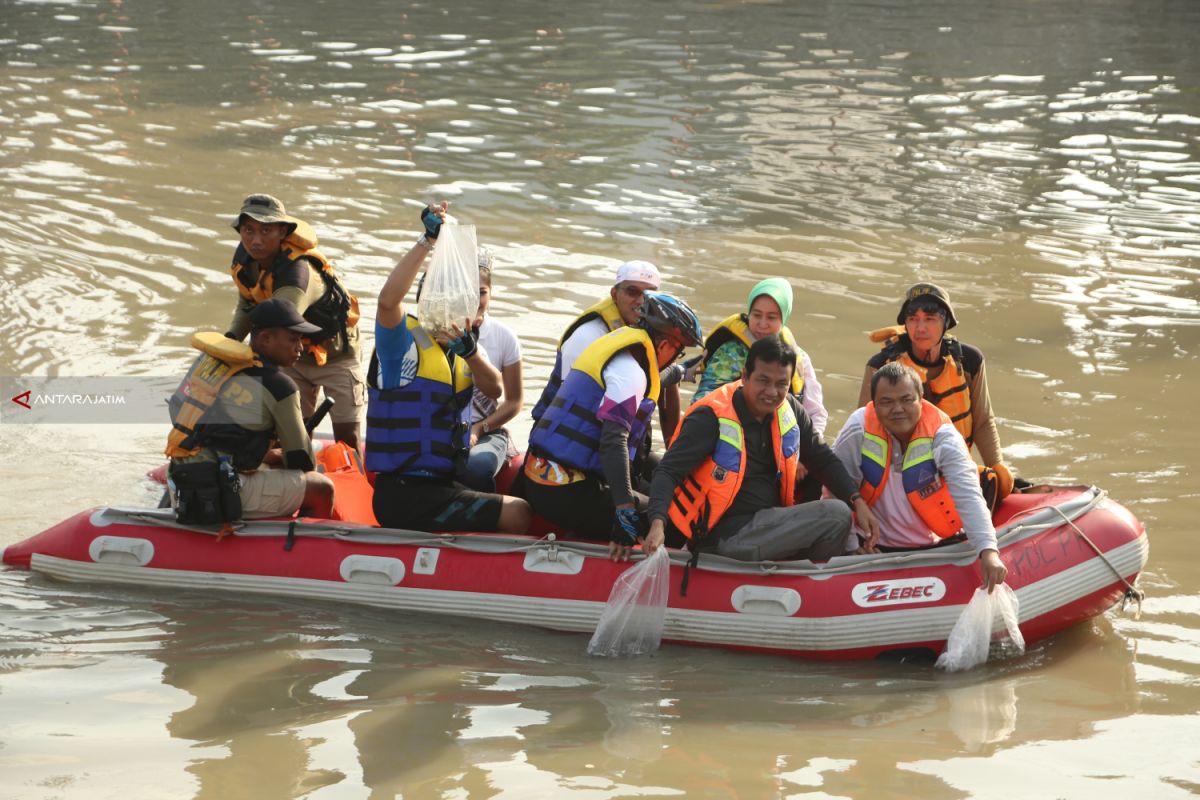 15 Ribu Benih Ikan Nila Dilepas di Sungai Kalimas Kota Surabaya