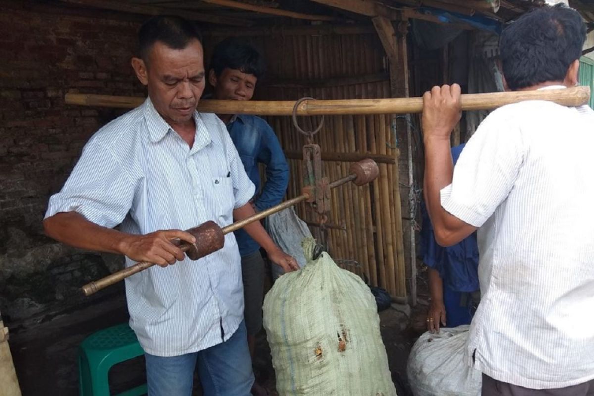 Petani Badui Raup Keuntungan Dari Panen Jahe