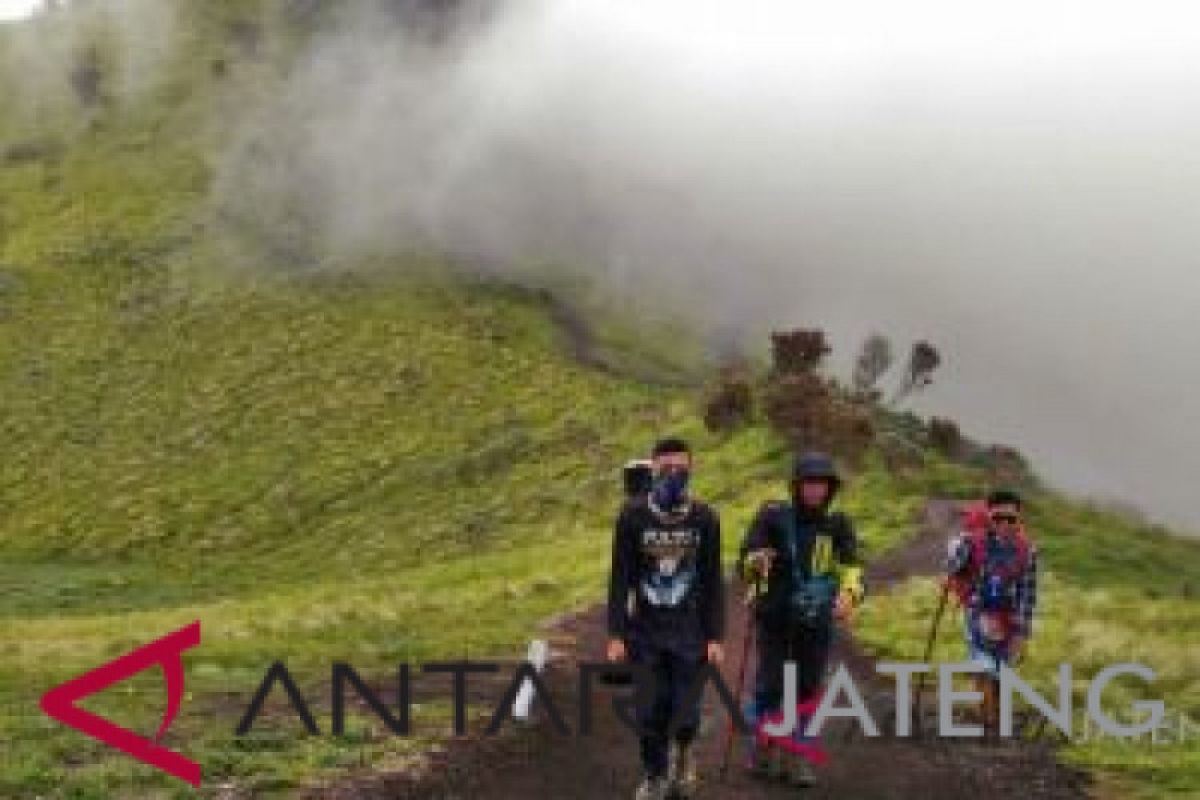 Cuaca membaik, jalur pendakian Merbabu dibuka kembali