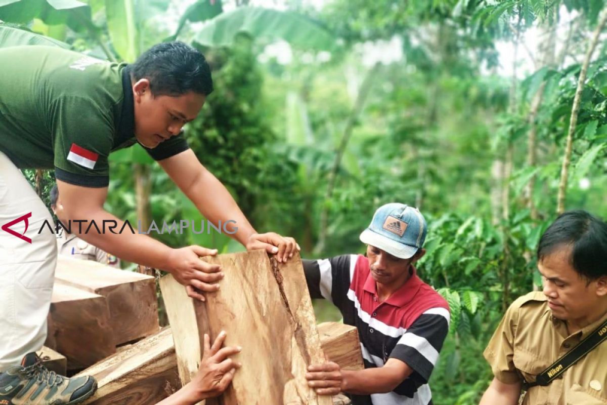 KPH Batutegi Temukan Puluhan Kayu Diduga Pembalakan Liar