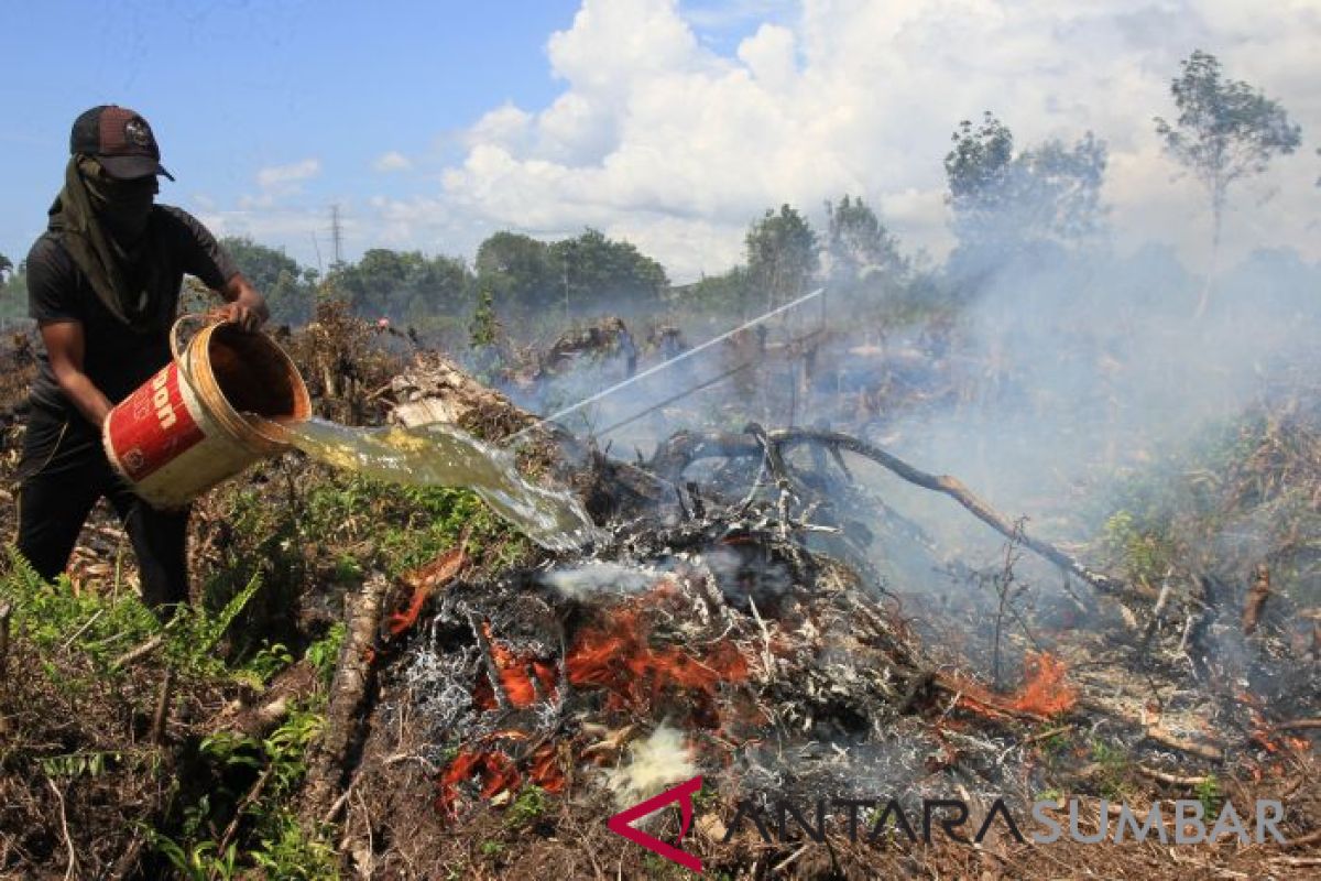 Lahan di Riau terbakar telah 124,5 hektare