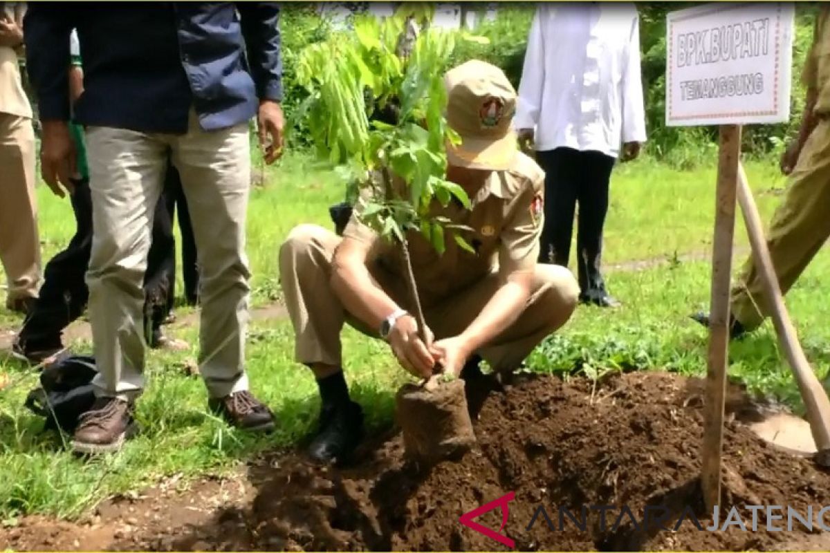 Warga Temanggung rintis agrowisata kelengkeng