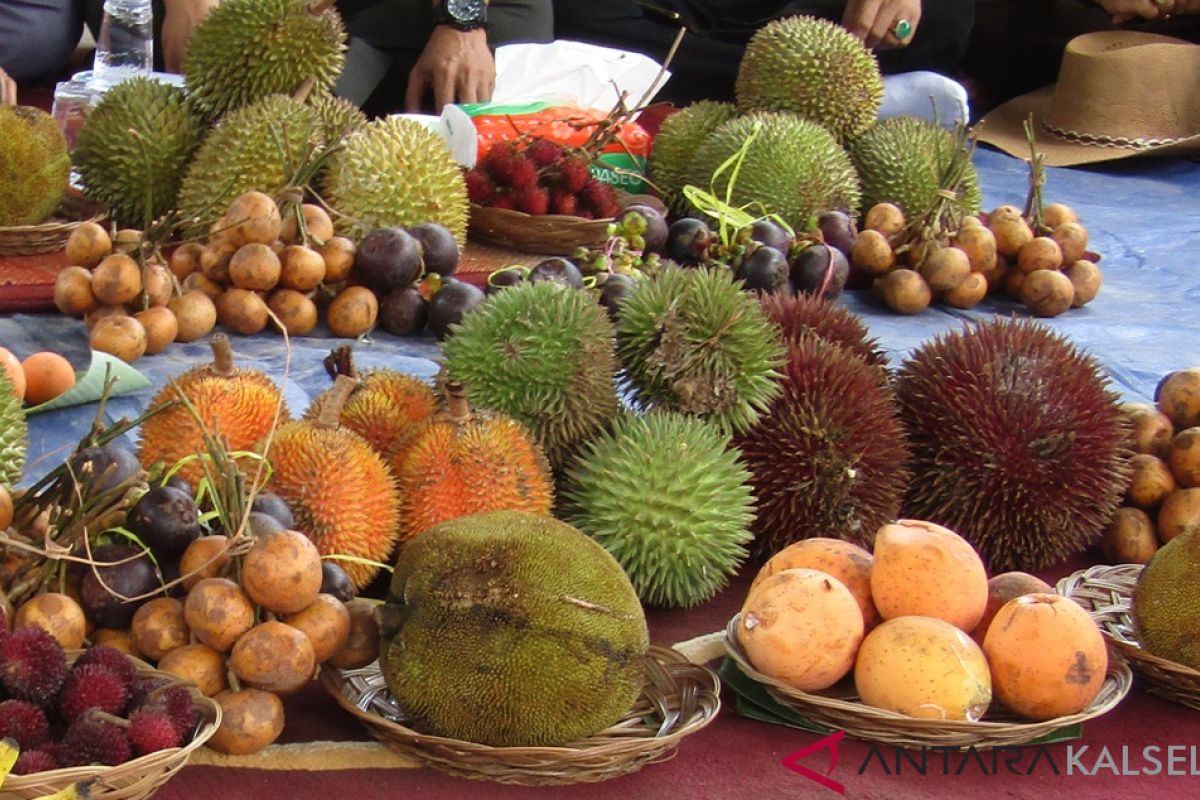 Kontes durian Kiram munculkan aneka species baru