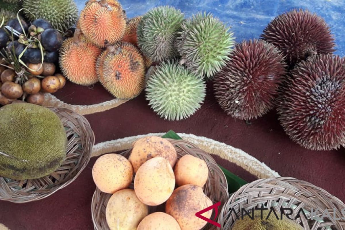 Pemkab Balangan apresiasi festival buah lokal Kalsel