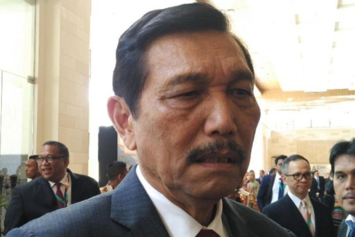 Luhut pertimbangkan larang Boeing 737 Max terbang di Indonesia