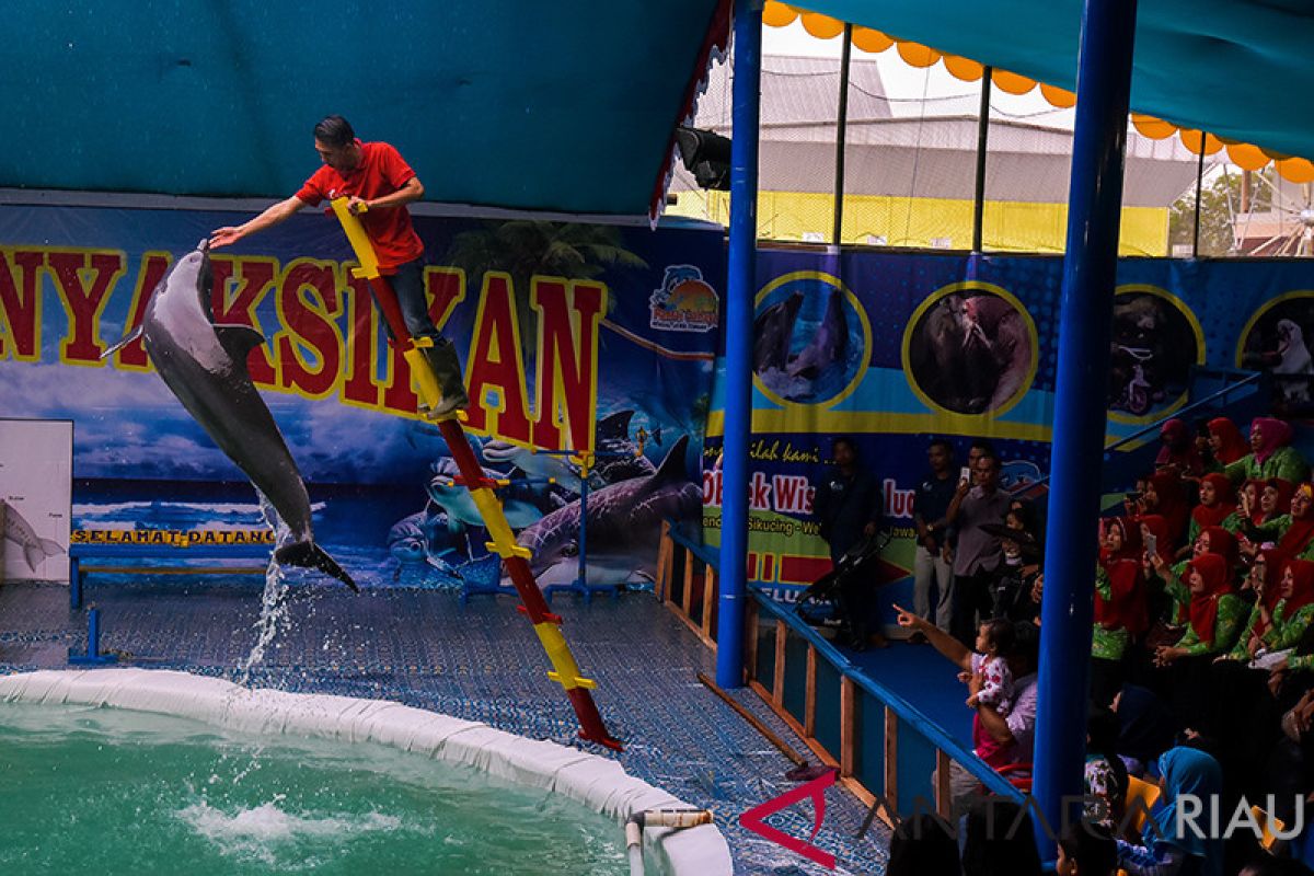 Ratusan Warga Kunjungi Sirkus Lumba-lumba Keliling di Pekanbaru