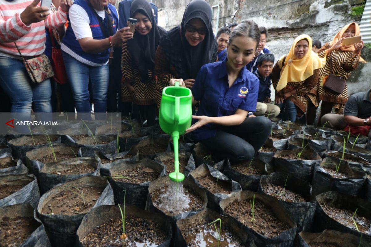 Nasdem Bagikan Benih Padi Kepada 2.670 Warga Surabaya